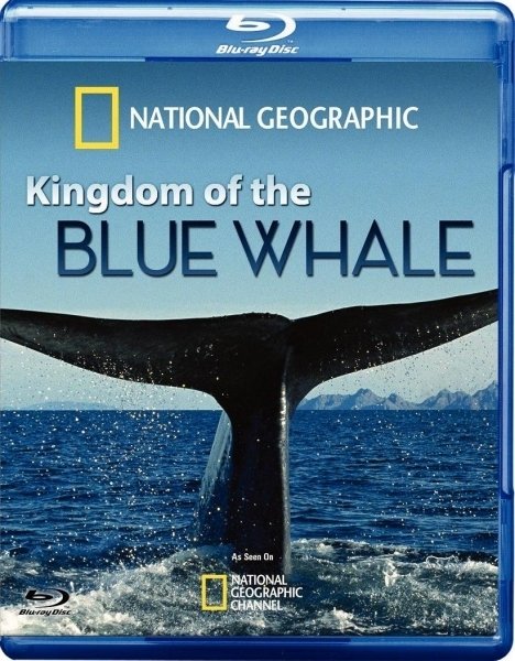 蓝鲸王国Kingdom.of.the.Blue.Whale.2009.BluRay.1080p.AC3.x264-CHD 7.9G-1.jpg