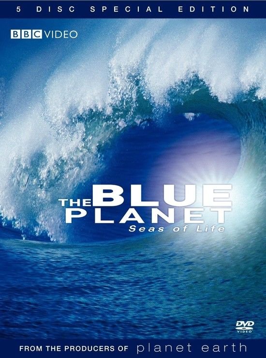 蓝色星球/蓝地球 Blue.Planet.2001.Part4.1080p.BluRay.x264-REQ 3.97GB-1.jpg