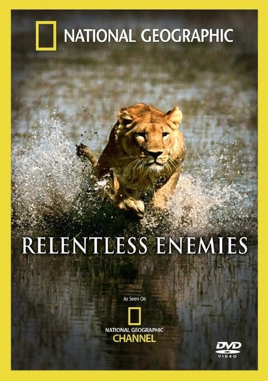 国家地理:刻毒宿敌 National.Geographic.Relentless.Enemies.2006.1080p.BluRay.x264-SSF 6.56GB-1.jpg