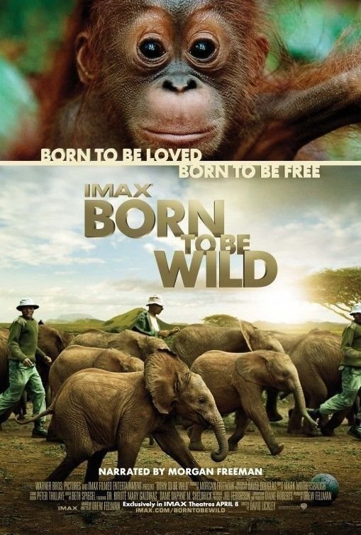 天生狂野/回归野性 Born.To.Be.Wild.2011.1080p.BluRay.x264-BestHD 3.28GB-1.jpg