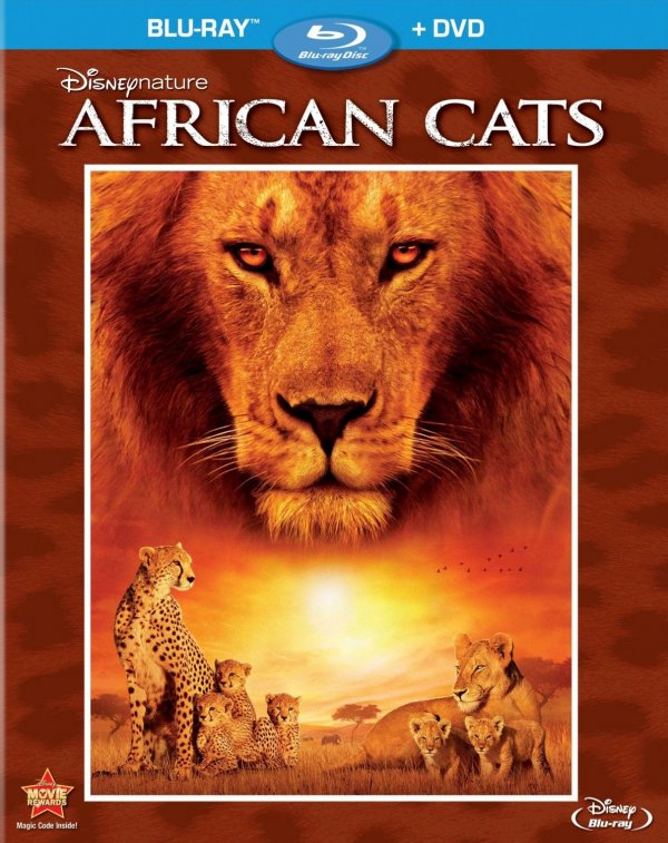 迪士尼自然:非洲猫科 D.N.A.C.2011.BluRay.1080p.x264.DTS.HD 5.1-CHD 9.24 G-1.jpg