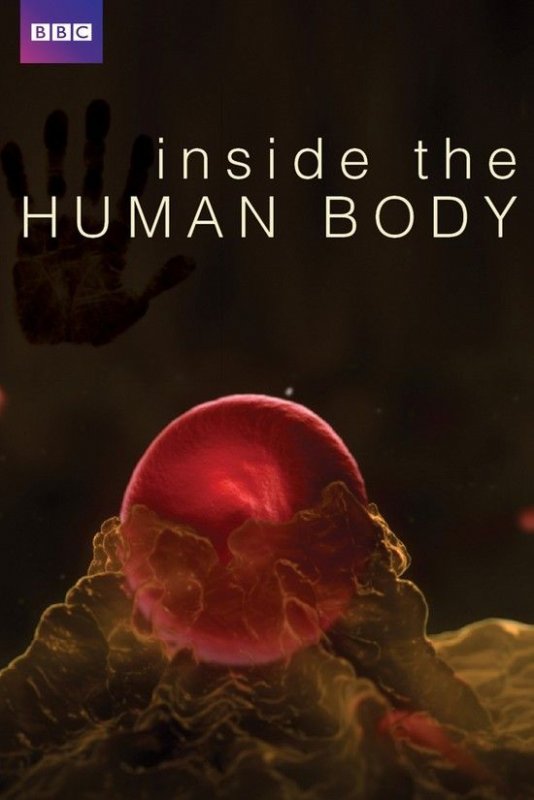 人体奥秘 Inside.The.Human.Body.2011.Part1.1080p.BluRay.x264-BaKuDoU 4.37GB-1.jpg