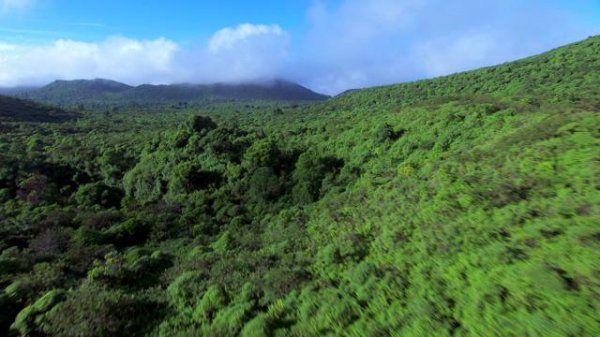 加拉帕戈斯 3D 第一季/细看进化岛 David.Attenboroughs.Galapagos.2013.Part2.1080p.BluRay.x264-SHORTBREHD 4.37GB-7.png