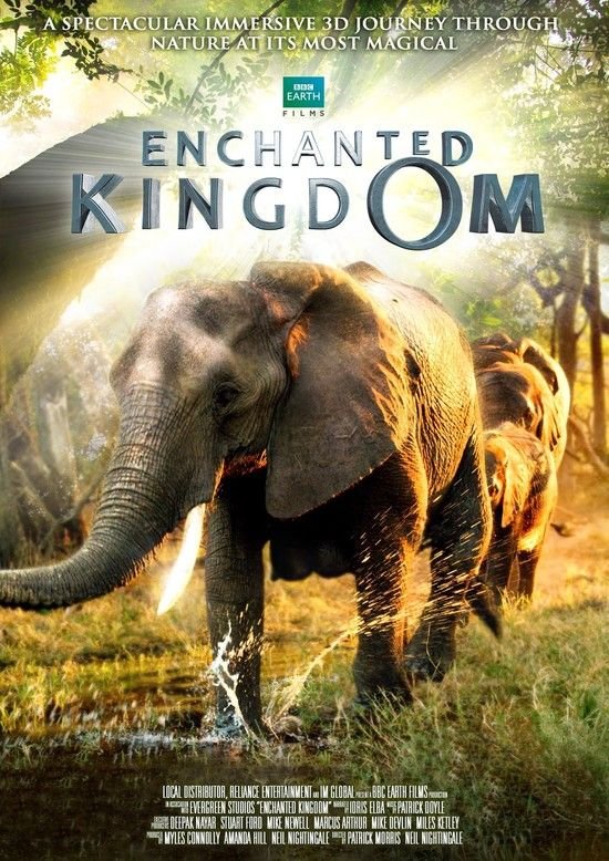 魔法王国 Enchanted.Kingdom.3-D.2014.1080p.BluRay.x264-PFa 6.54GB-1.jpg