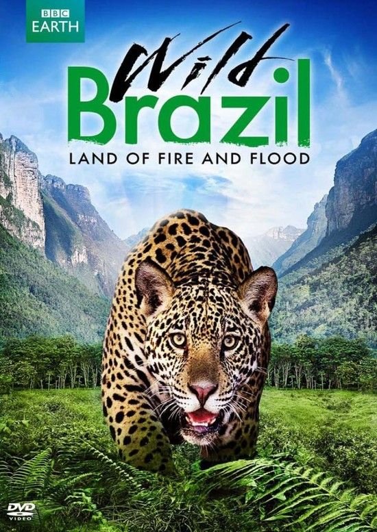 狂野巴西/野性巴西 BBC.Earth.Wild.Brazil.2014.Part3.1080p.BluRay.x264-iLLUSiON 4.37GB-1.jpg