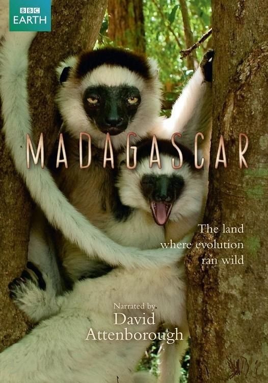 马达加斯加 Madagascar.2011.Part3.1080p.BluRay.x264.DD2.0-FGT 3.86GB-1.jpg