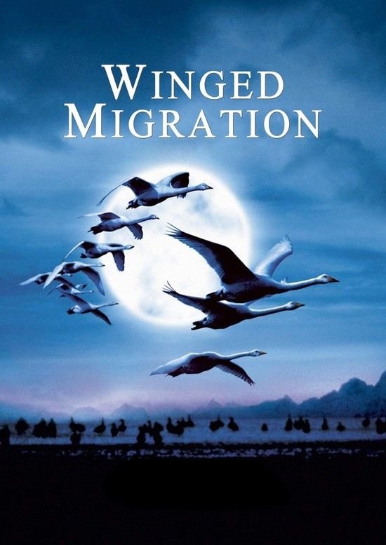 迁移的鸟/鸟的迁移 Winged.Migration.2001.1080p.BluRay.x264-CiNEFiLE 7.95GB-1.jpg
