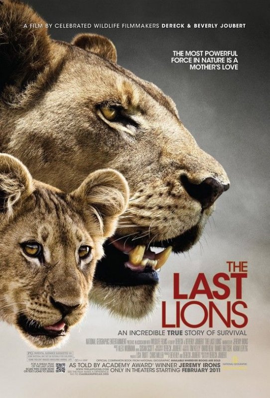 最初的狮子 The.Last.Lions.2011.1080p.BluRay.x264-BRMP 7.95GB-1.jpg
