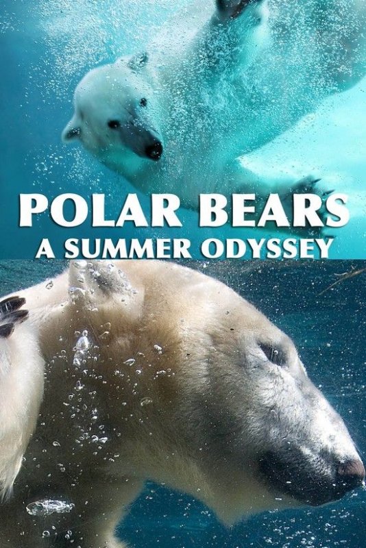 北极熊:一个炎天的奥德赛/北极熊:夏日远行 Polar.Bears.A.Summer.Odysseys.2012.1080p.BluRay.x264-NORDiCHD 4.37GB-1.jpg