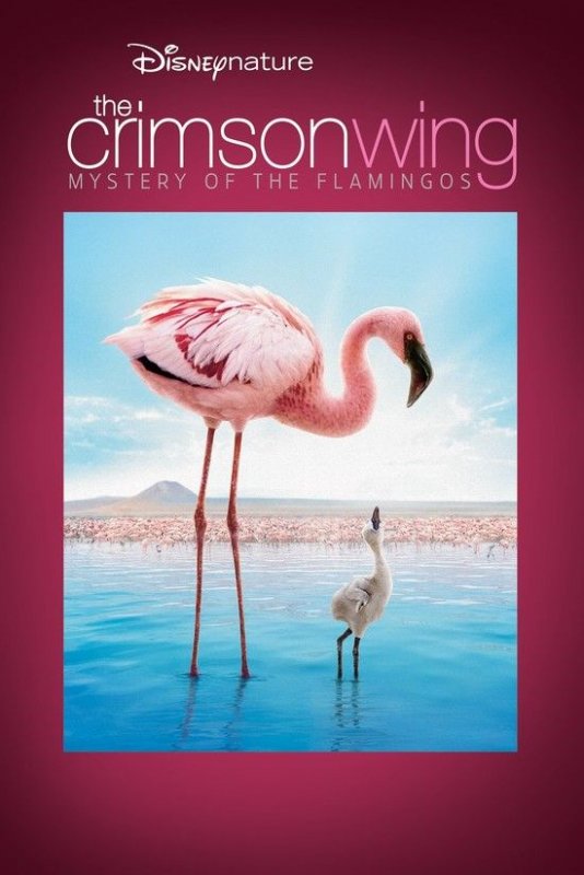 红色同党:火烈鸟故事/天翅奇迹 The.Crimson.Wing.Mystery.of.the.Flamingos.2008.1080p.BluRay.x264-THUGLiNE 6.55GB-1.jpg