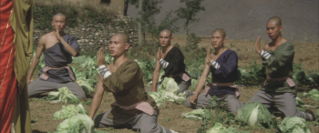 少林寺 [典范不因时候褪色]The.Shaolin.Temple.1982.1080p.BluRay.x264.DTS-WiKi 11.18 GB-2.jpg
