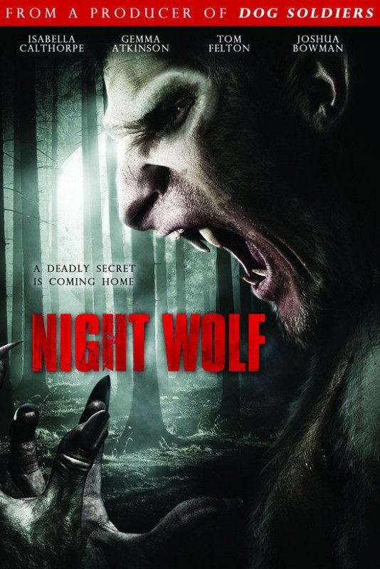 十三小时 Night.Wolf.2010.1080p.BluRay.x264-MeTH 6.56GB-1.jpg