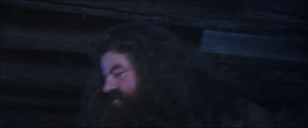 哈利·波特与魔法石/哈利波特1:奥秘的魔法石(港 Harry.Potter.And.The.Sorcerers.Stone.2001.EXTENDED.1080p.BluRay.x264-SECTOR7 10.94GB-4.png