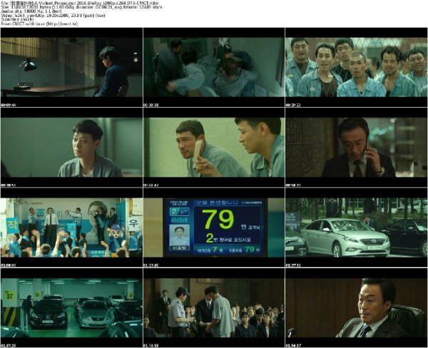 检察官外传.2016.BluRay.1080p.x264.DTS-CMCT[韩语中字/11G]-2.jpg