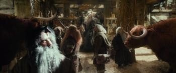 霍比特人2 The.Hobbit.2013.1080p.BluRay.DTS-HD.MA.7.1.x265.HEVC-PublicHD 13.79GB-6.jpg