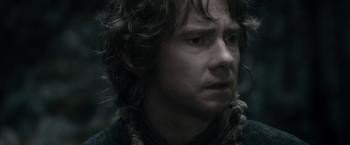 霍比特人2 The.Hobbit.2013.1080p.BluRay.DTS-HD.MA.7.1.x265.HEVC-PublicHD 13.79GB-14.jpg