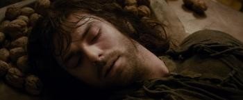 霍比特人2 The.Hobbit.2013.1080p.BluRay.DTS-HD.MA.7.1.x265.HEVC-PublicHD 13.79GB-17.jpg