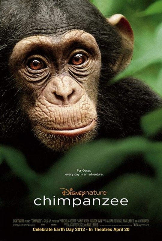 黑猩猩/黑猩猩的天下 Chimpanzee.2012.1080p.BluRay.x264-IGUANA 6.55GB-1.jpg