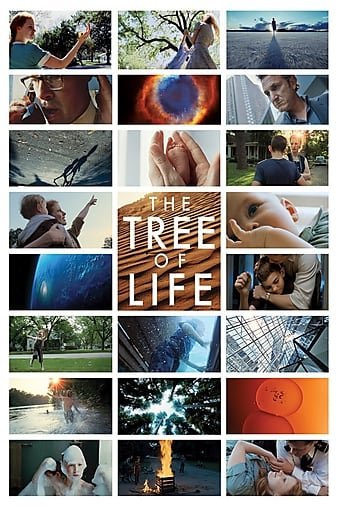 生命之树/生命树 The.Tree.of.Life.2011.EXTENDED.1080p.BluRay.REMUX.AVC.DTS-HD.MA.5.1-FGT 45.31GB-1.jpg