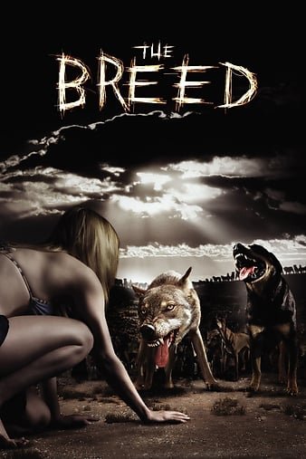 滋生/嗜血狂犬 The.Breed.2006.1080p.BluRay.x264-iBEX 8.74GB-1.jpg