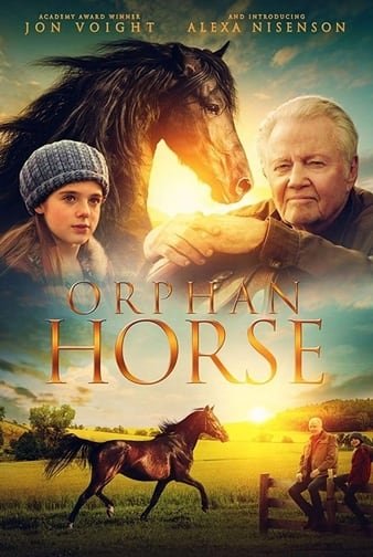 孤马 Orphan.Horse.2018.1080p.BluRay.REMUX.AVC.DTS-HD.MA.5.1-FGT 22.13GB-1.jpg