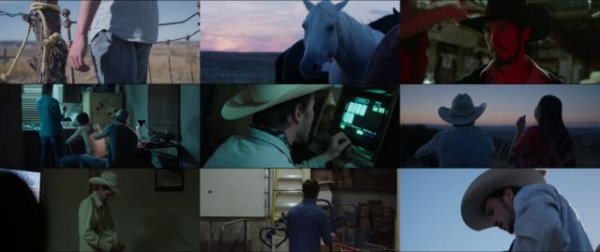 我们动物/我们这些动物 The.Rider.2017.1080p.BluRay.x264-BRMP 8.75GB-2.jpg