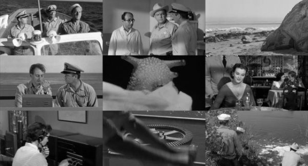 应战天下的怪兽 The.Monster.That.Challenged.the.World.1957.1080p.BluRay.x264-SADPANDA 5.46GB-2.jpg