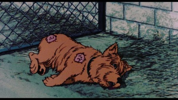 疫病犬 The.Plague.Dogs.1982.1080p.BluRay.REMUX.AVC.DTS-HD.MA.2.0-FGT 21.79GB-2.png