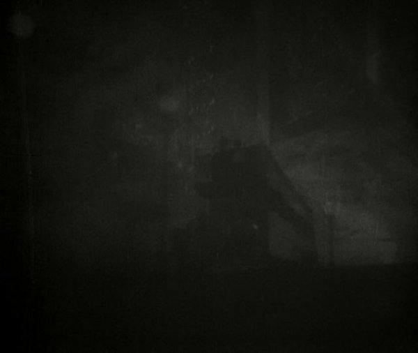日出/日出:两小我的恋爱之歌 Sunrise.A.Song.of.Two.Humans.1927.1080p.BluRay.x264-AVCHD 7.95GB-4.png