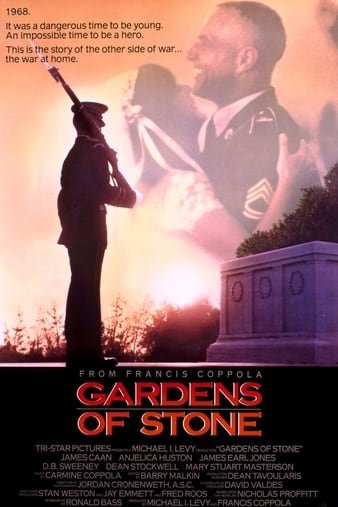 石花园 Gardens.of.Stone.1987.1080p.BluRay.REMUX.AVC.LPCM.2.0-FGT 29.48GB-1.jpg