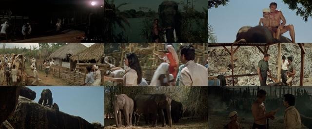 泰山去印度 Tarzan.Goes.to.India.1962.1080p.BluRay.x264-JRP 5.46GB-2.jpg
