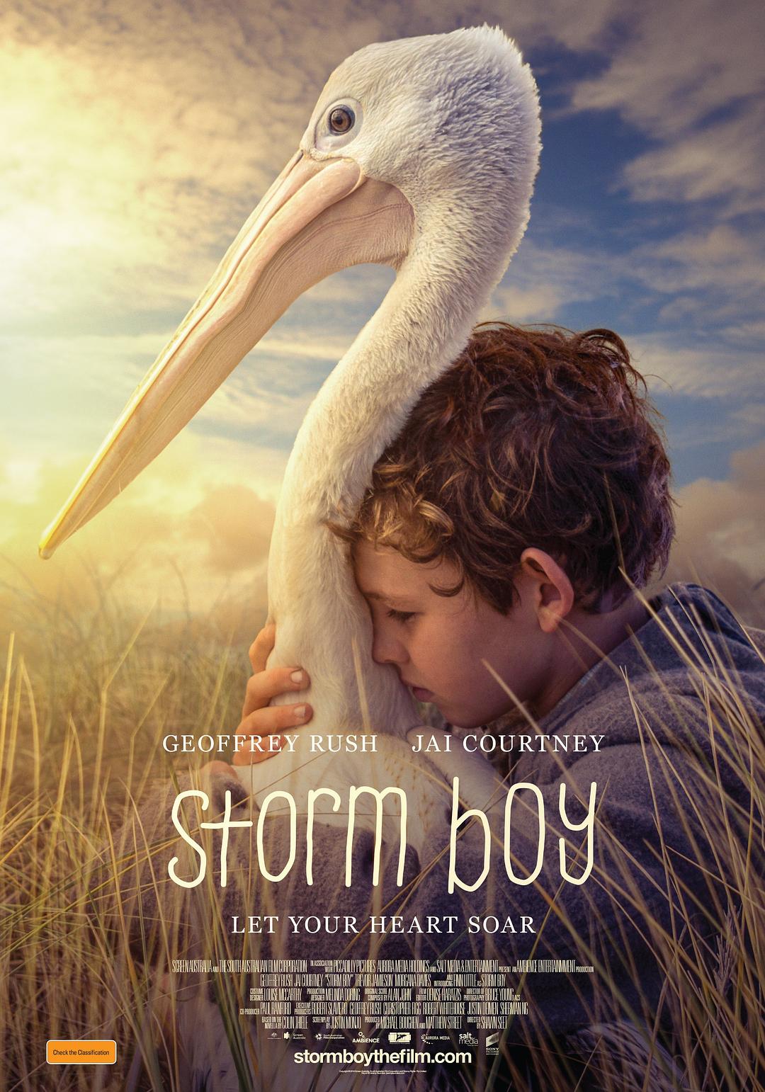 鹈鹕的故事/风暴男孩 Storm.Boy.2019.1080p.BluRay.AVC.DTS-HD.MA.5.1-FGT 24.11GB-1.jpg