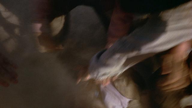 墨西哥人的宫殿/加油机里的宫殿 Greasers.Palace.1972.1080p.BluRay.REMUX.AVC.DTS-HD.MA.2.0-FGT 19.62GB-2.png
