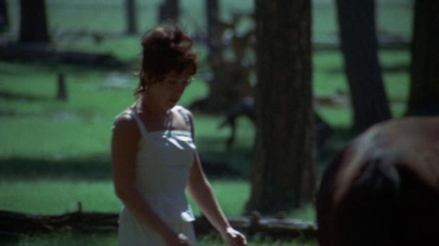 墨西哥人的宫殿/加油机里的宫殿 Greasers.Palace.1972.1080p.BluRay.REMUX.AVC.DTS-HD.MA.2.0-FGT 19.62GB-4.png