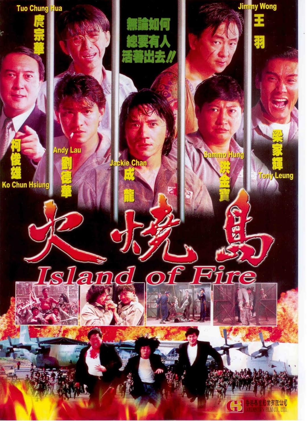 火烧岛 Island.of.Fire.1990.CHINESE.1080p.BluRay.x264-HANDJOB 6.91GB-1.png