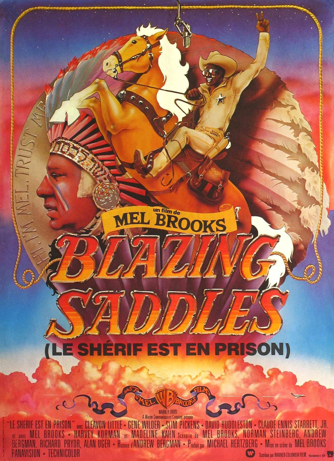 灼热的马鞍 Blazing.Saddles.1974.1080p.BluRay.x264-WPi 7.95GB-1.png