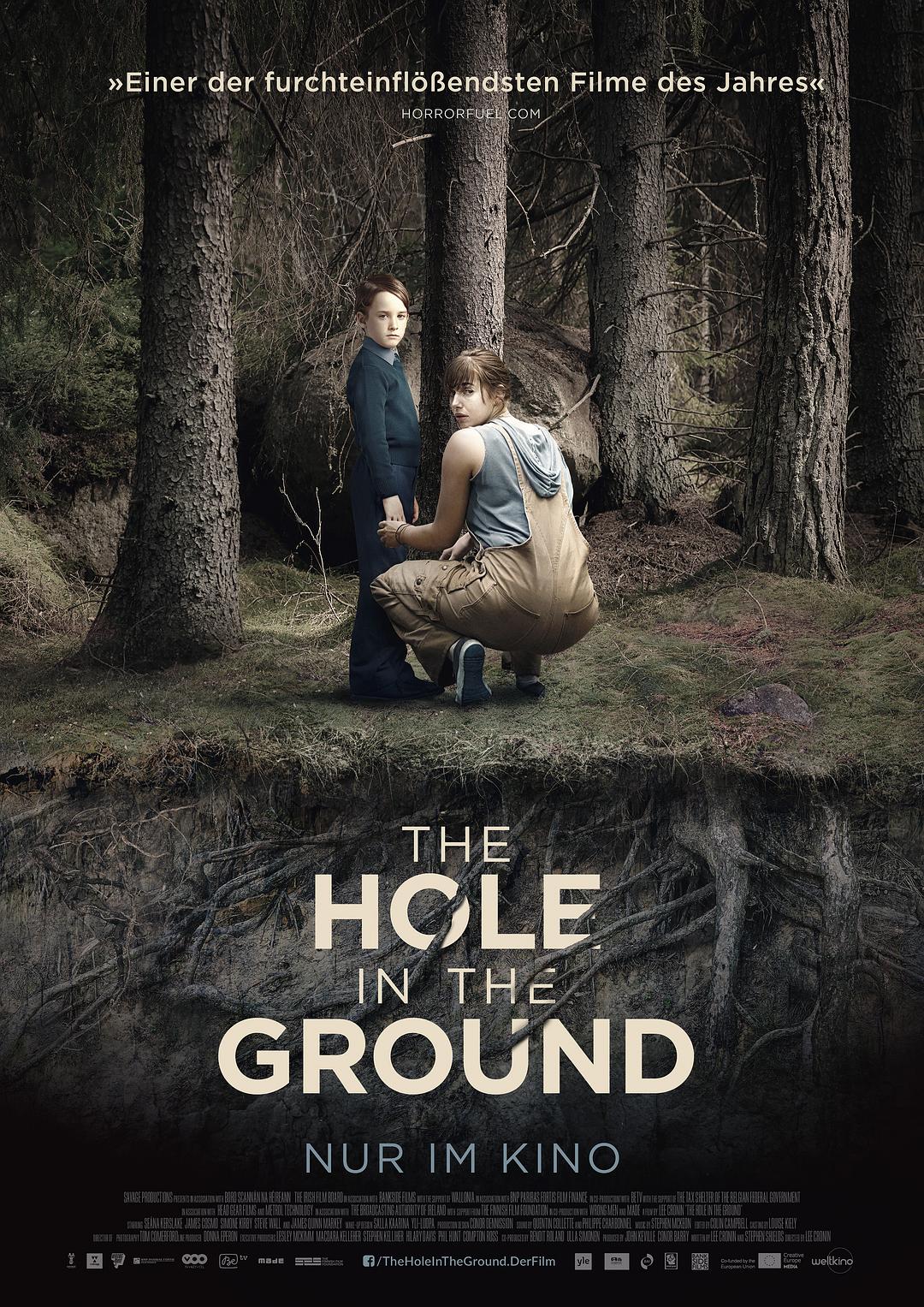 空中之洞/婴魂不散 The.Hole.in.the.Ground.2019.1080p.BluRay.REMUX.AVC.DTS-HD.MA.5.1-FGT 23.96GB-1.png