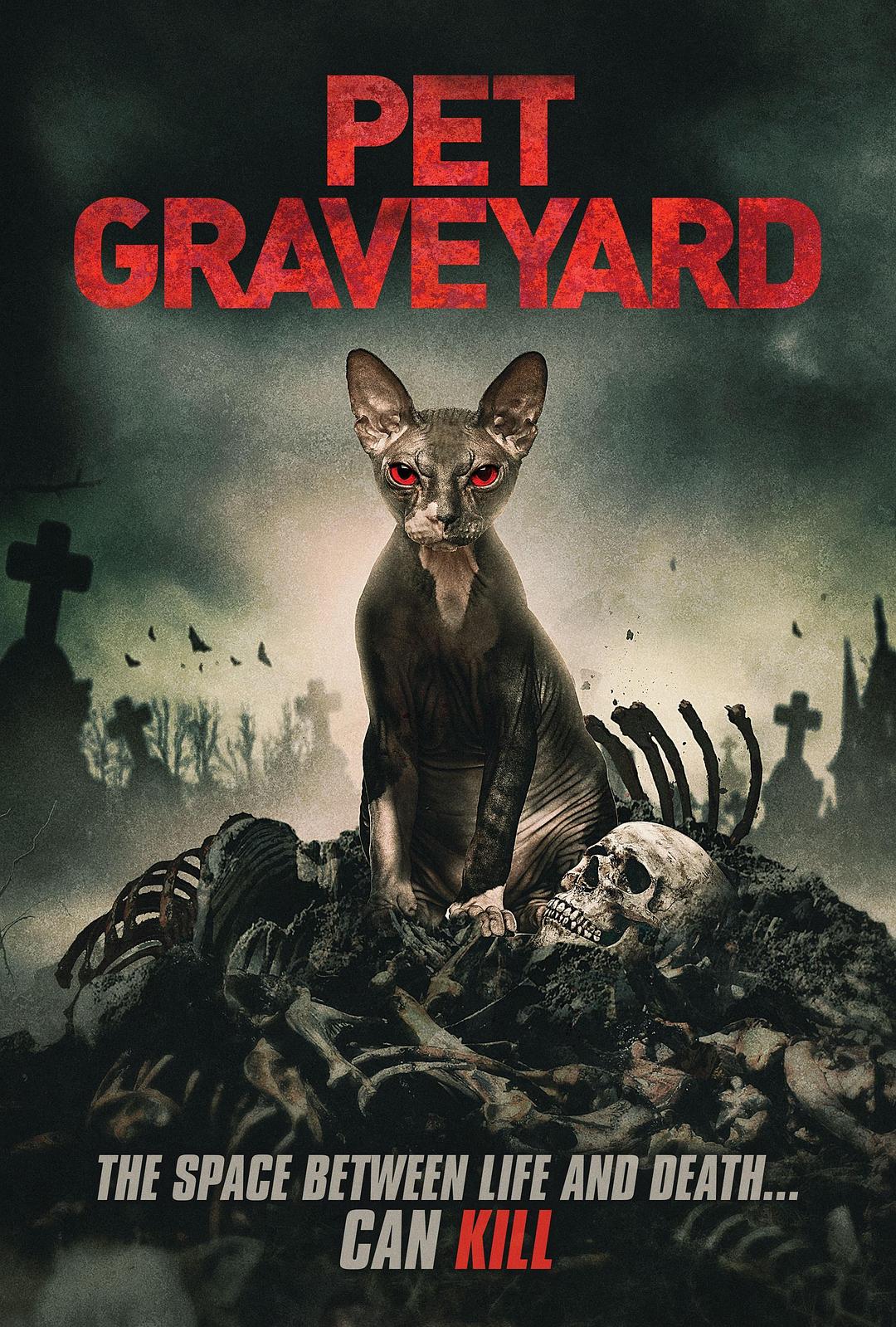 宠物宅兆 Pet.Graveyard.2019.1080p.BluRay.REMUX.AVC.DTS-HD.MA.5.1-FGT 13.90GB-1.png