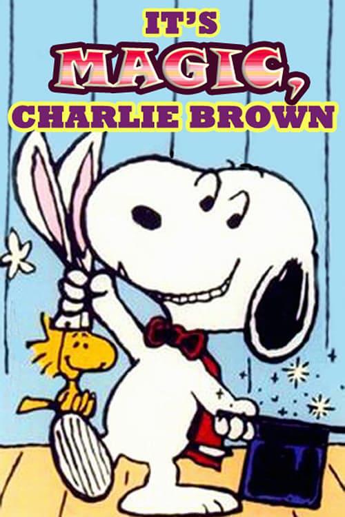 史努比的故事:把戏师 Its.Magic.Charlie.Brown.1981.1080p.BluRay.x264-CiNEFiLE 1.46GB-1.png