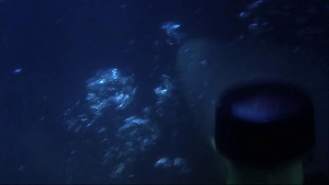 深海狂鲨2/深海巨鲨2 Shark.Attack.2.2001.1080p.WEBRip.x264-RARBG 1.77GB-2.png