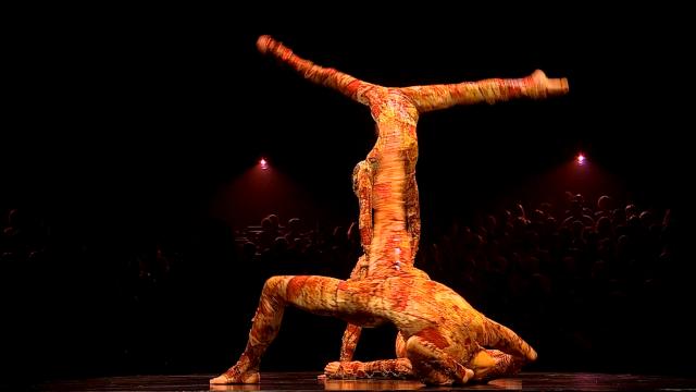 太阳剧团:浪迹天涯/太阳马戏团:浪迹天涯 Cirque.du.Soleil.Kooza.2008.1080p.AMZN.WEBRip.DDP5.1.x264-monkee 9.49GB-4.png