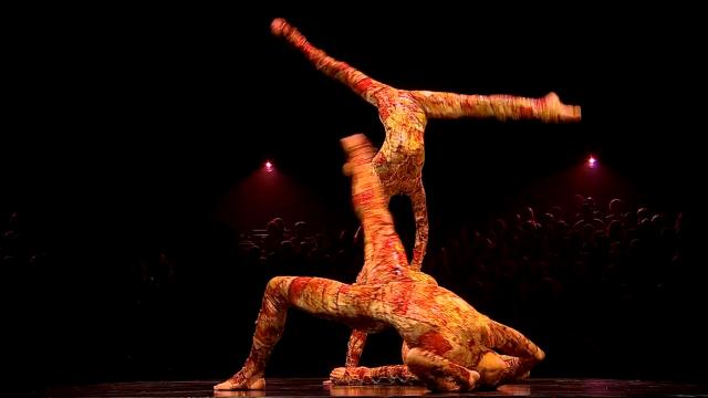 太阳剧团:浪迹天涯/太阳马戏团:浪迹天涯 Cirque.du.Soleil.Kooza.2008.1080p.WEBRip.x264-RARBG 1.72GB-3.png