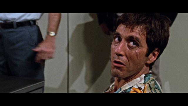 疤面煞星/疤脸人 Scarface.1983.REMASTERED.1080p.BluRay.AVC.DTS-HD.MA.7.1-PCH 44.08GB-2.png