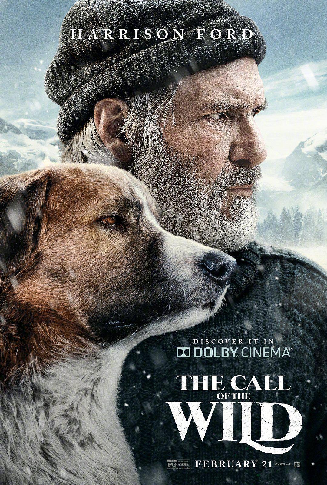 野性的呼唤/极地保护犬 The.Call.of.the.Wild.2020.1080p.BluRay.AVC.DTS-HD.MA.7.1-FGT 35.41GB-1.png
