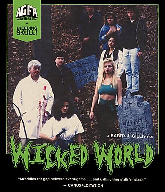 邪恶的天下 Wicked.World.1991.DC.1080p.BluRay.x264.DTS-FGT 9.26GB-1.png