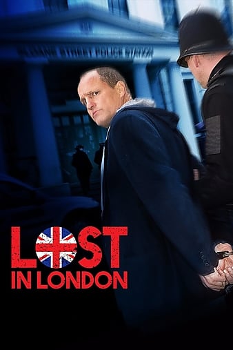 丢失伦敦 Lost.in.London.2017.1080p.BluRay.REMUX.AVC.DTS-HD.MA.5.1-FGT 17.39GB-1.png