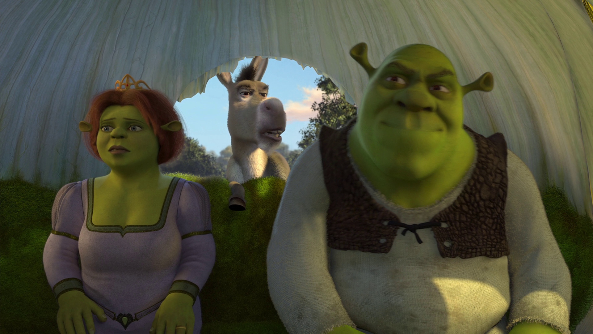 怪物史瑞克2/史力加2 Shrek.2.2004.1080p.BluRay.x264.DTS-FGT 6.78GB-3.jpg