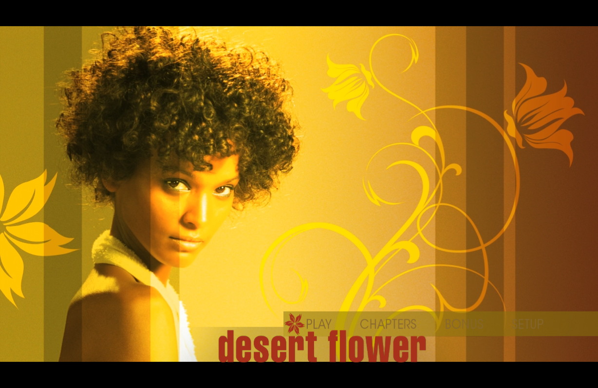 沙漠之花 [DIY简繁英双语字幕].Desert.Flower.2009.1080p.Blu-ray.AVC.DTS-HD.MA.5.1-TAG 23.28GB-2.png