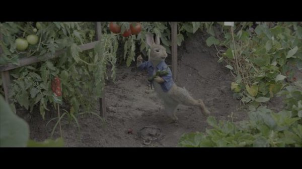 比得兔/彼得兔 Peter.Rabbit.2018.2160p.BluRay.HEVC.TrueHD.7.1.Atmos-COASTER 47.83GB-2.png