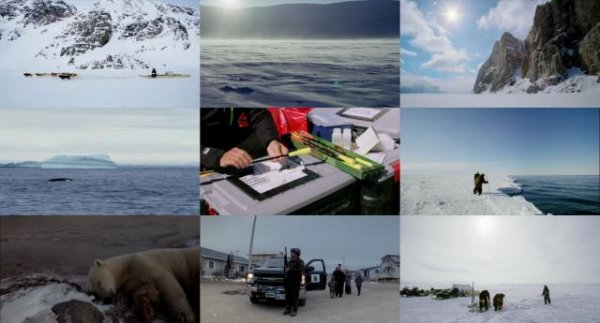奇异冰極/奇异冰極 Wonders.of.the.Arctic.2014.1080p.BluRay.x264-GUACAMOLE 2.64GB-2.jpg